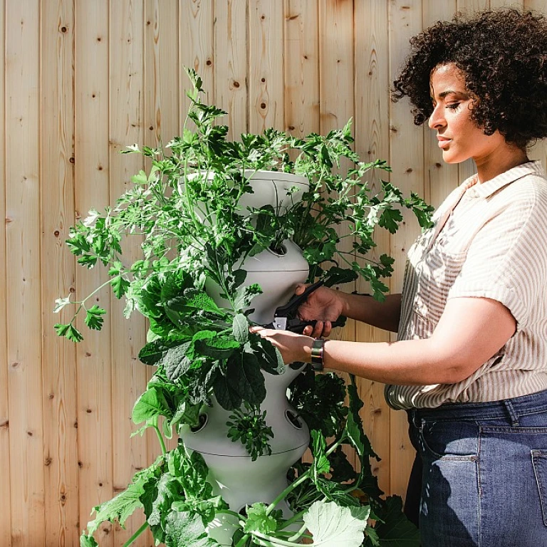 Les avantages d'un taille-haie thermique sur perche