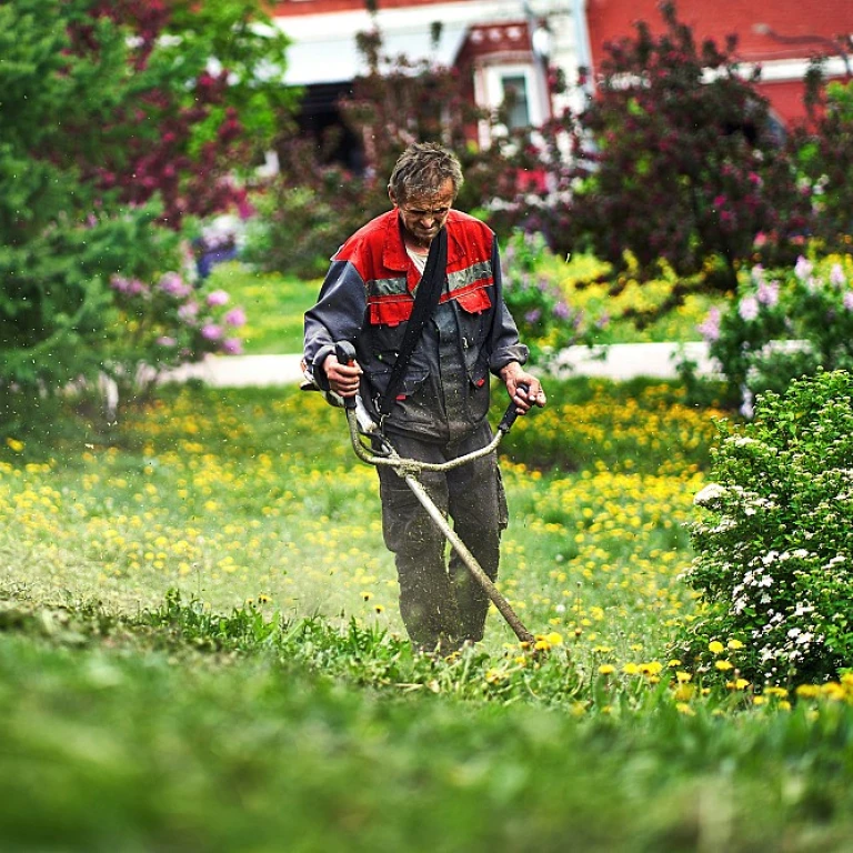 Optimisez votre jardinage avec un broyeur de branches monté sur tracteur