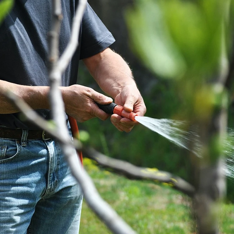 Pourquoi choisir une remorque pour jardinage ?