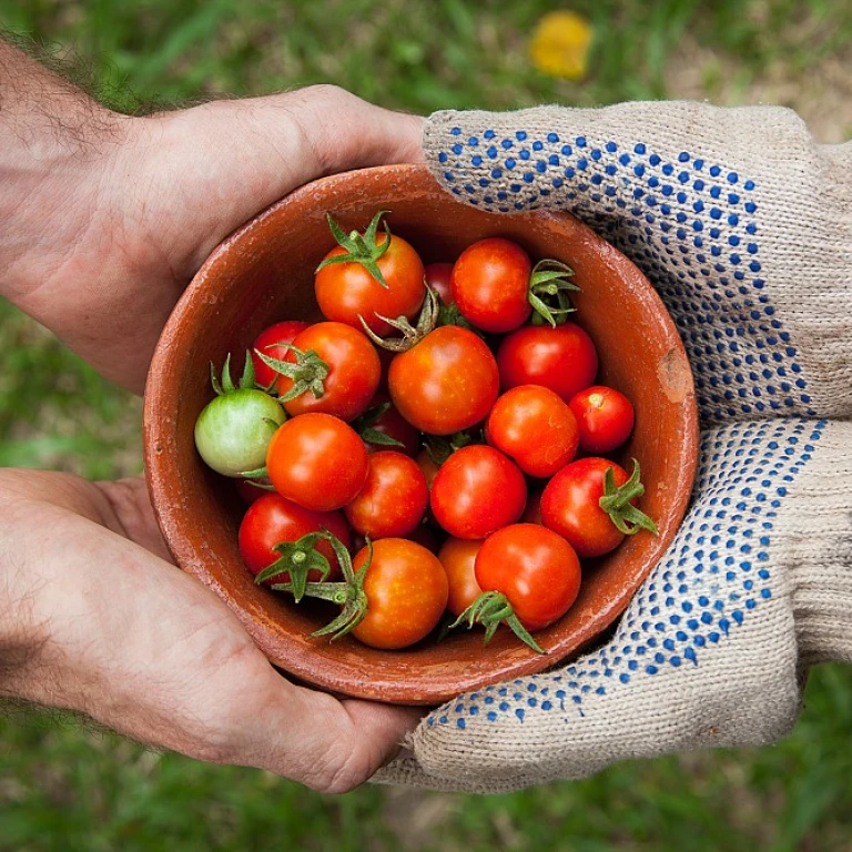 Optimisez votre jardin avec une tondeuse tracteur Columbia