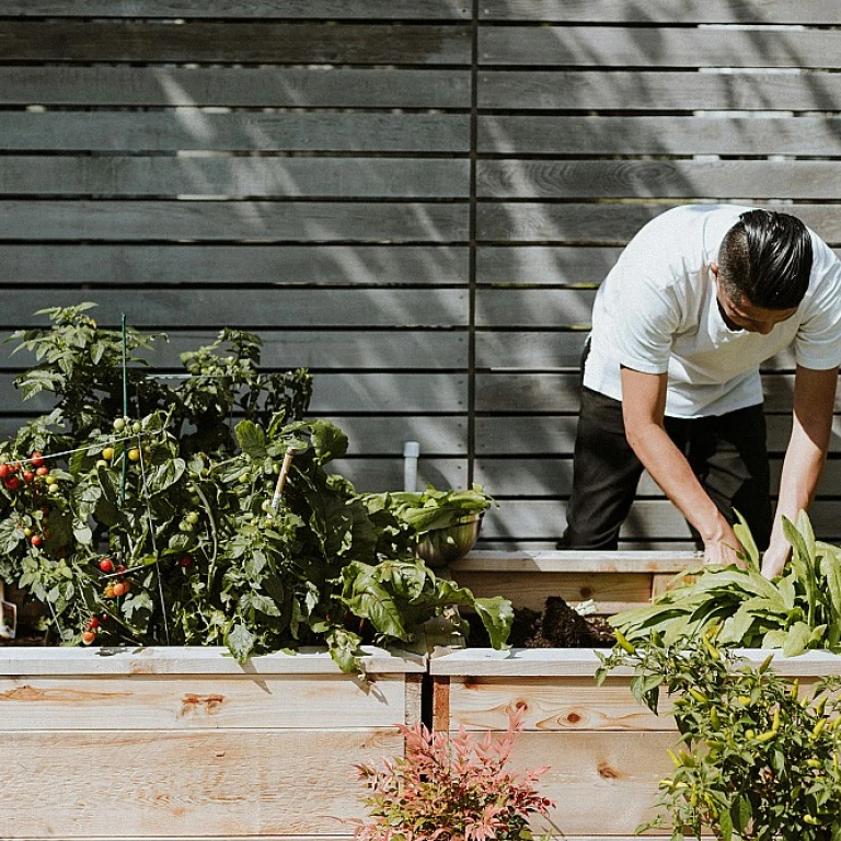 Équipements de Protection Indispensables pour le Jardinage : Sécurité et Confort au Coeur de la Nature