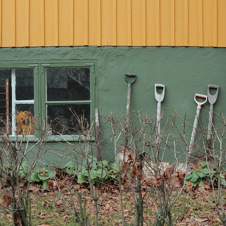 Tondeuse débroussailleuse : un outil indispensable pour votre jardin