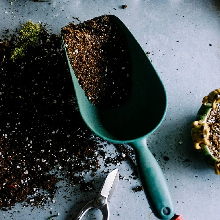 Les avantages d'une tronçonneuse echo pour vos travaux de jardinage