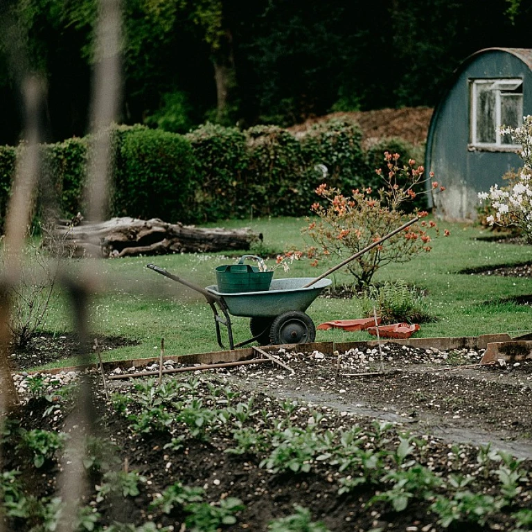 La debroussailleuse autoportée : l'alliée indispensable pour un jardin impeccable