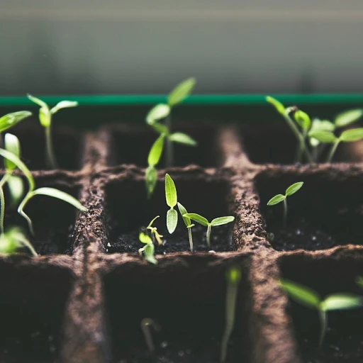 Serre tunnel de jardin : tout ce que vous devez savoir