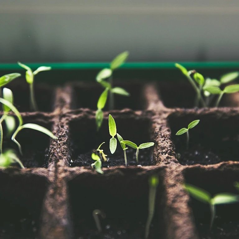 Spote encastrable exterieur : un guide complet pour un éclairage de jardin optimal