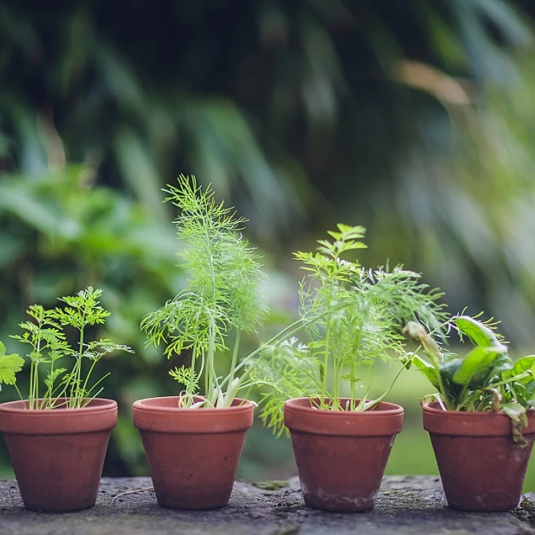 Pompe de bassin solaire : un choix écologique pour votre jardin aquatique