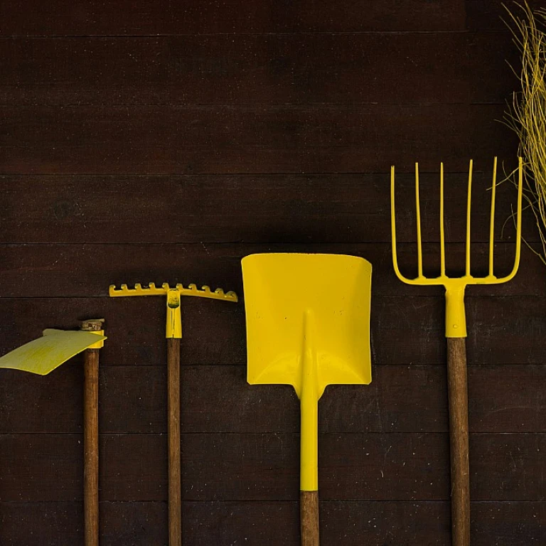 Le sécateur à batterie : l'outil indispensable pour votre jardin